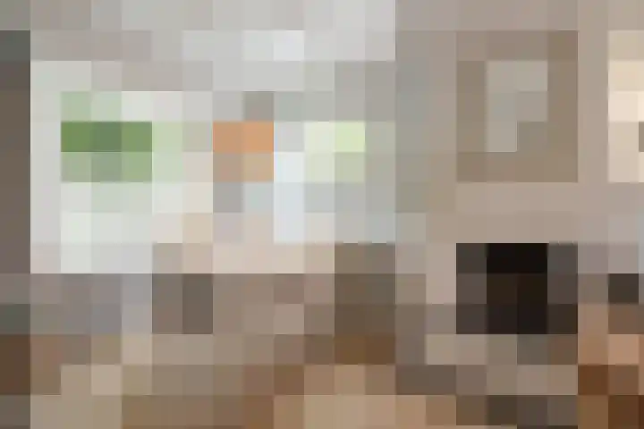 Tulpstraat 30 Baarn thumbnail 5