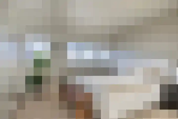 Tulpstraat 32 Woerden thumbnail 4
