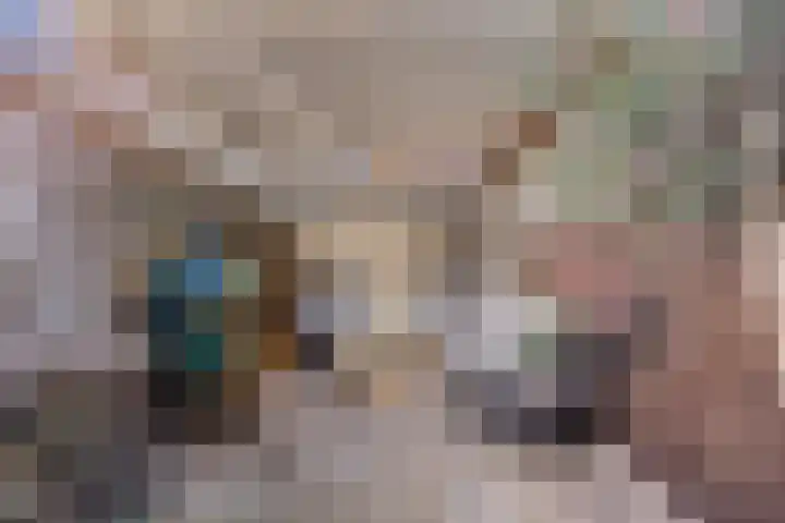 Tulpstraat 32 Woerden thumbnail 5