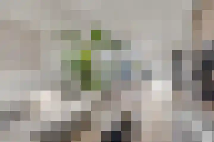 Tulpstraat 32 Woerden thumbnail 8