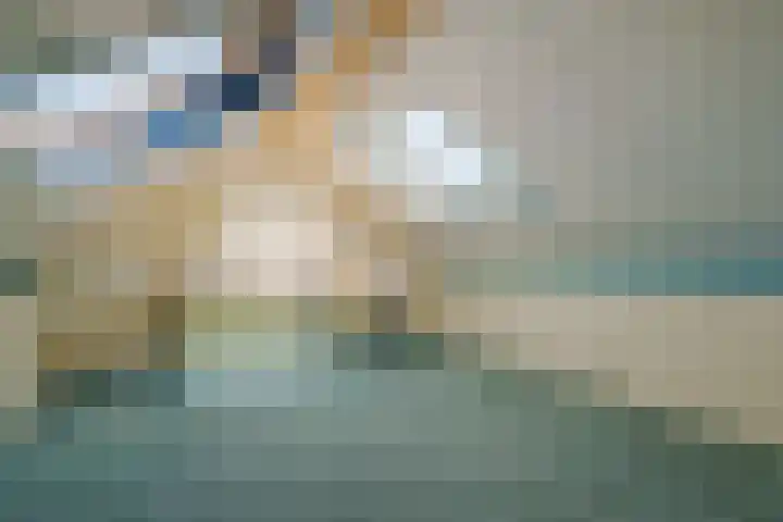 Tulpstraat 33 Hattem thumbnail 37