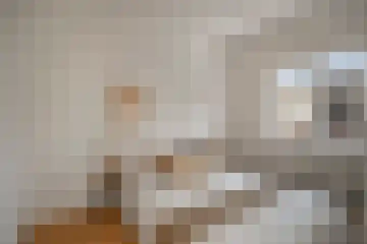 Tulpstraat 4 Alkmaar thumbnail 4