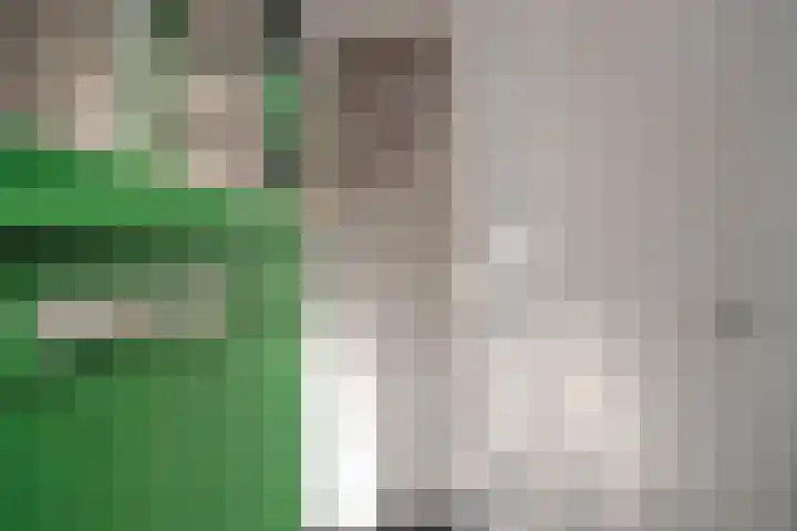 Tulpstraat 4 Alkmaar thumbnail 5