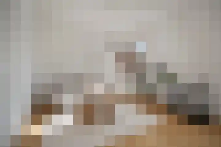 Tulpstraat 4 Alkmaar thumbnail 7