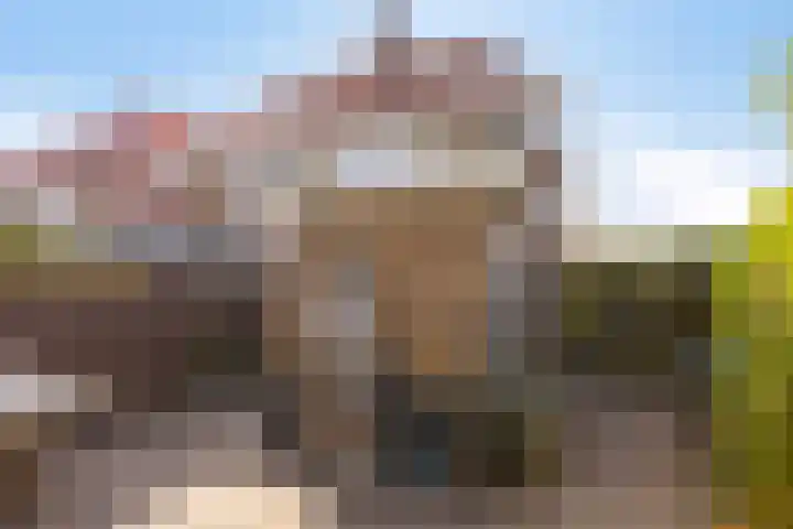 Tulpstraat 42 Goes thumbnail 23
