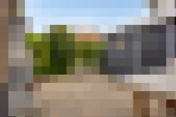 Tulpstraat 42 Goes thumbnail 26