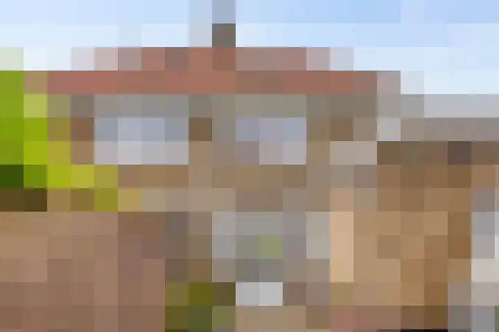 Tulpstraat 42 Goes thumbnail 30