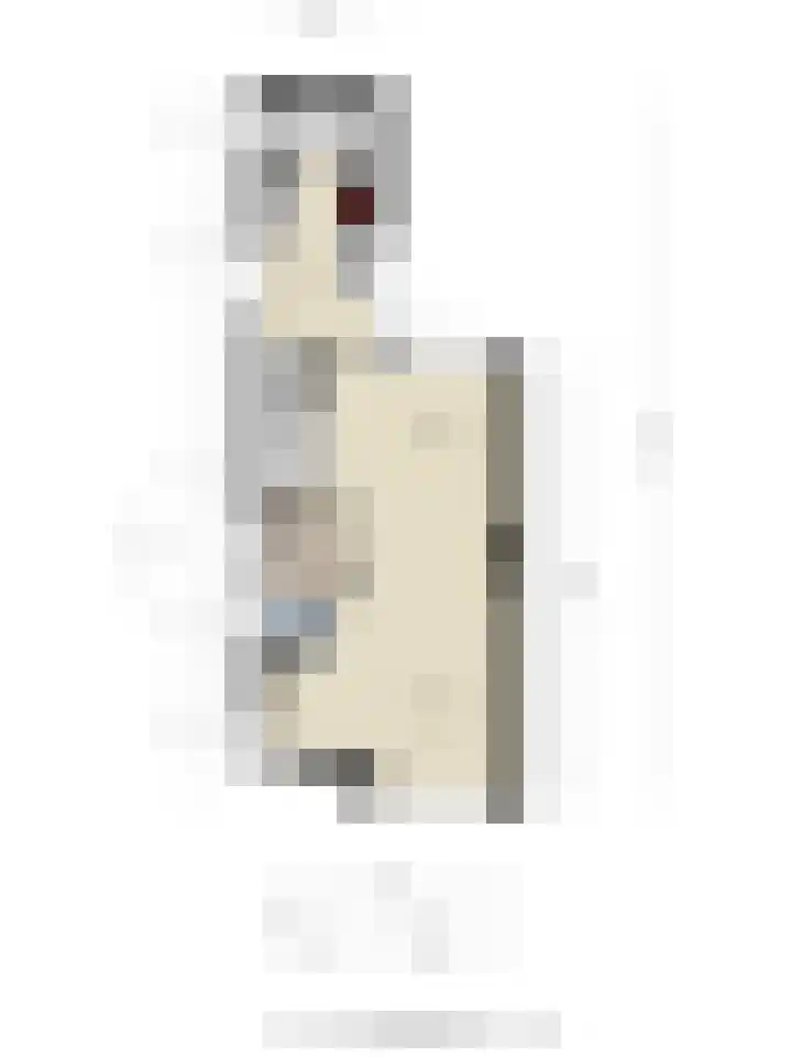 Tulpstraat 42 Goes thumbnail 31