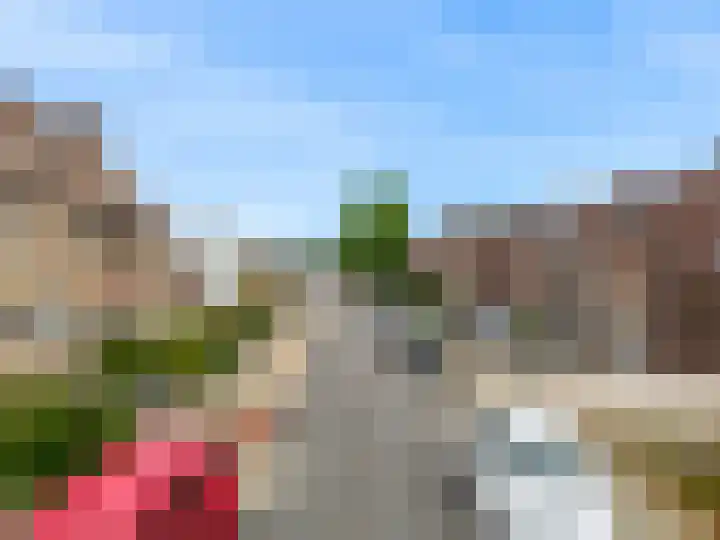 Tulpstraat 55 Nuth thumbnail 25