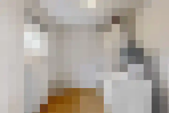 Tulpstraat 55 Nuth thumbnail 9