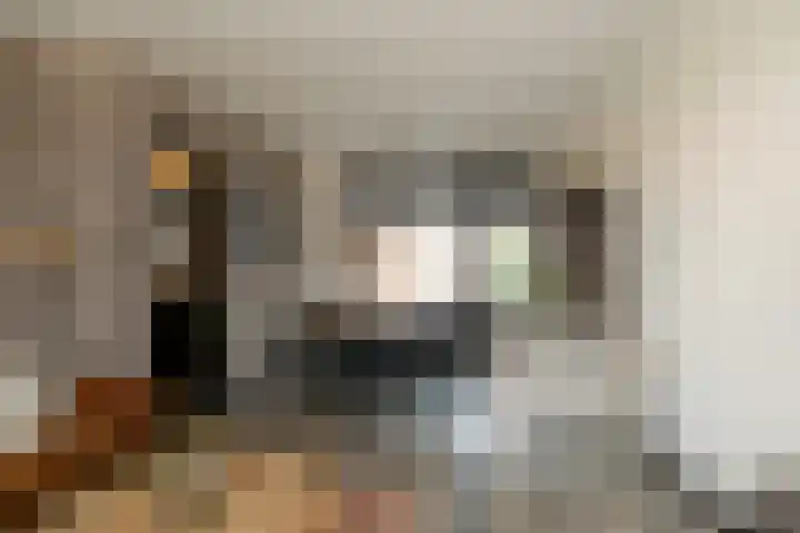 Tulpstraat 65 Losser thumbnail 14