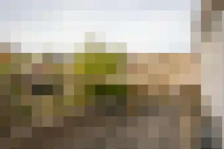 Tulpstraat 73 Culemborg thumbnail 25