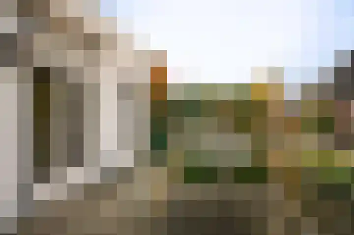 Tulpstraat 73 Culemborg thumbnail 26