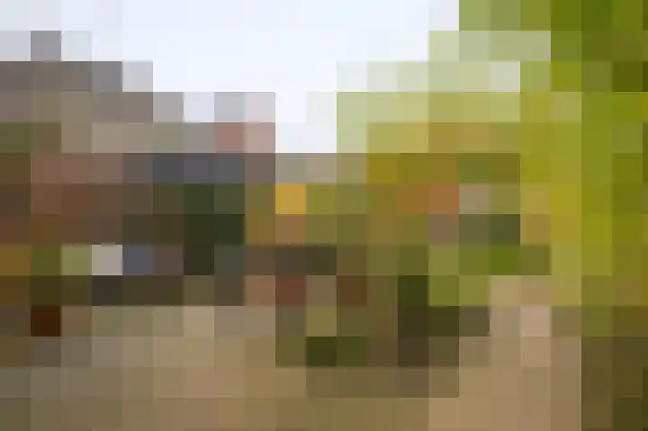 Tulpstraat 73 Culemborg thumbnail 44