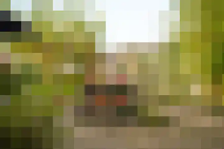 Tulpstraat 73 Culemborg thumbnail 46