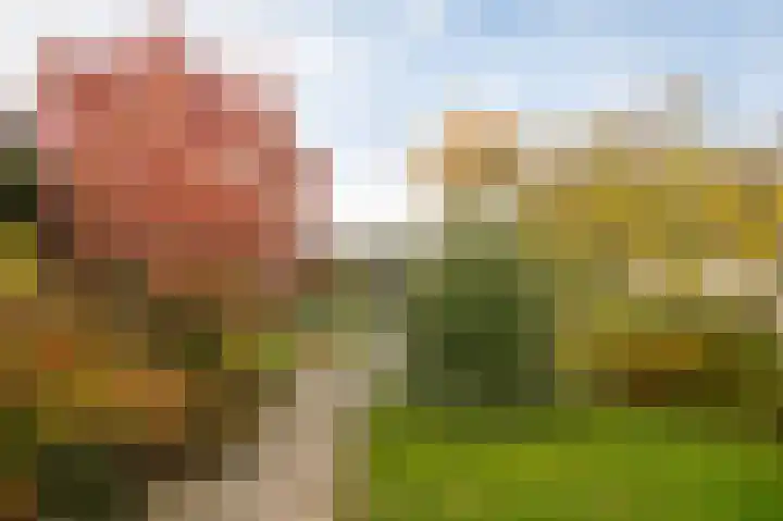 Tulpstraat 73 Culemborg thumbnail 51