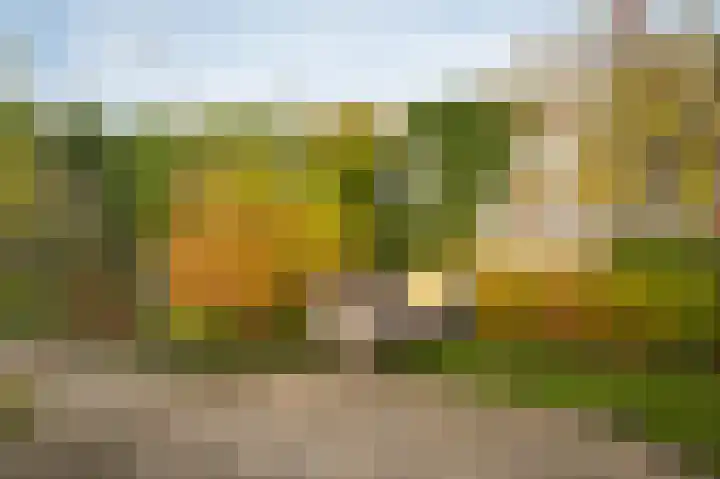 Tulpstraat 73 Culemborg thumbnail 52