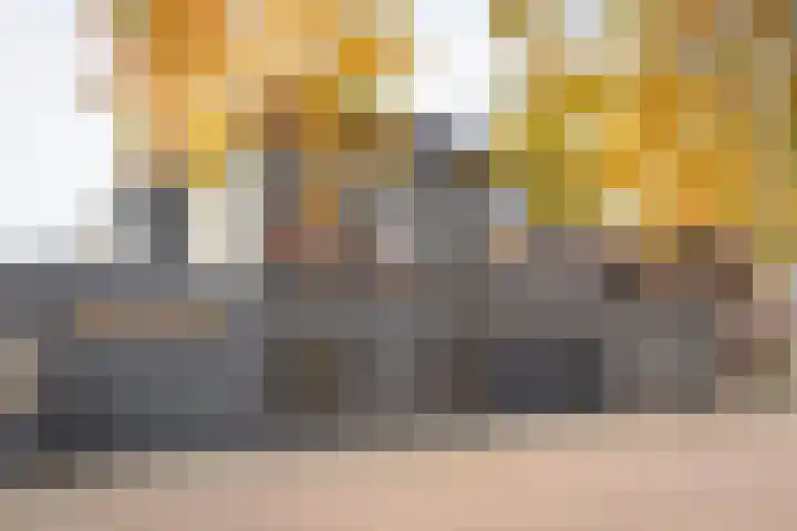 Tulpstraat 73 Culemborg thumbnail 66