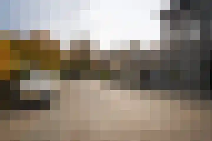 Tulpstraat 73 Culemborg thumbnail 68