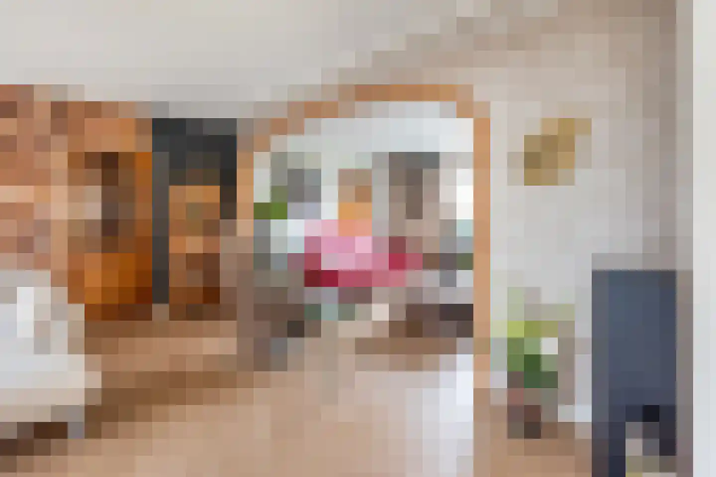 Tulpstraat 9 Gendringen thumbnail 18