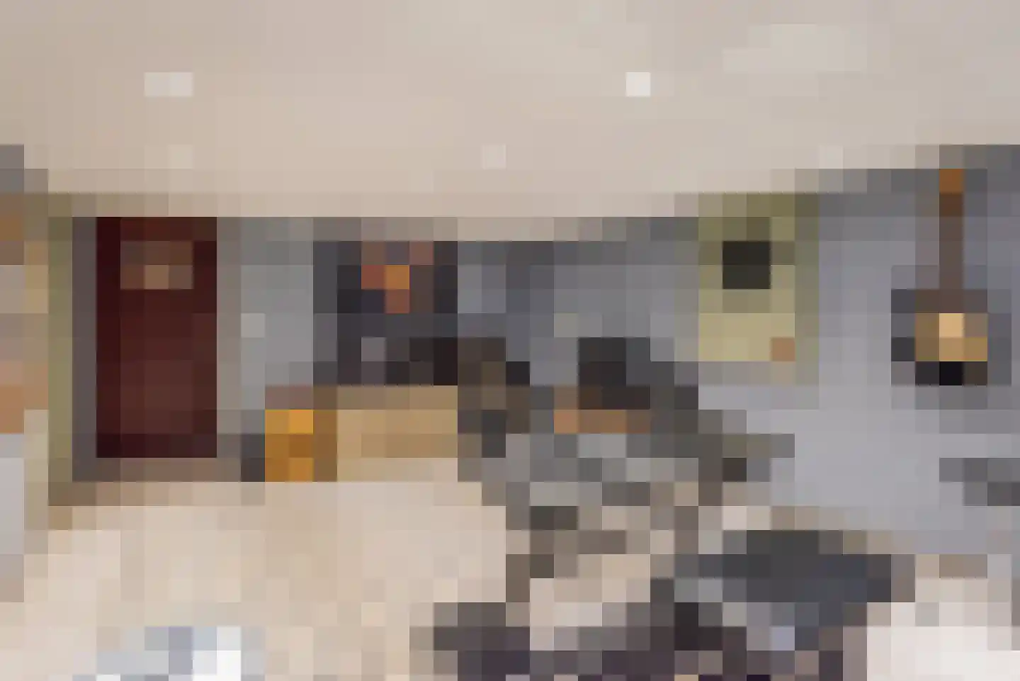 Tulpstraat 9 Gendringen thumbnail 30