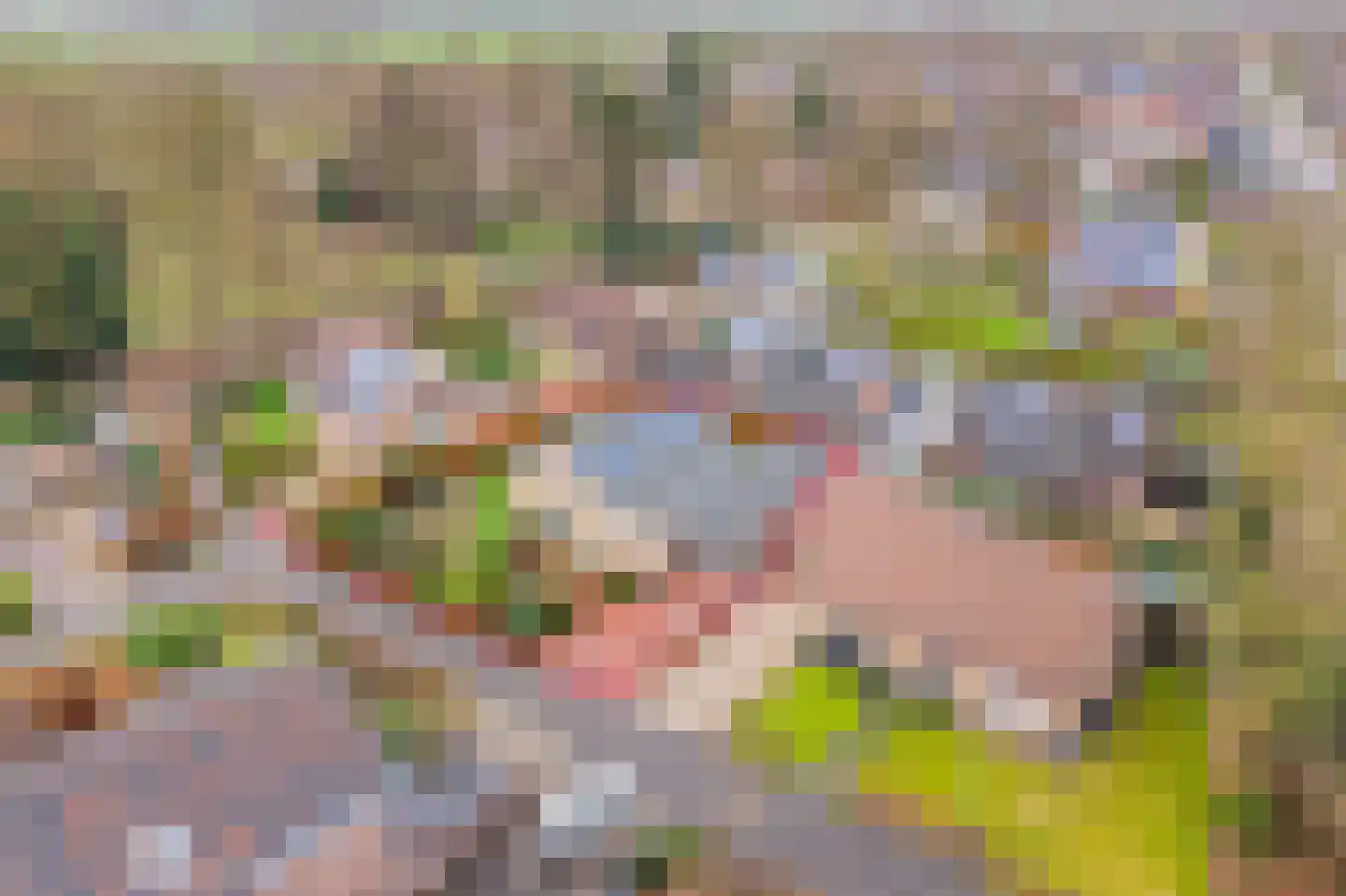 Tulpstraat 9 Gendringen thumbnail 4