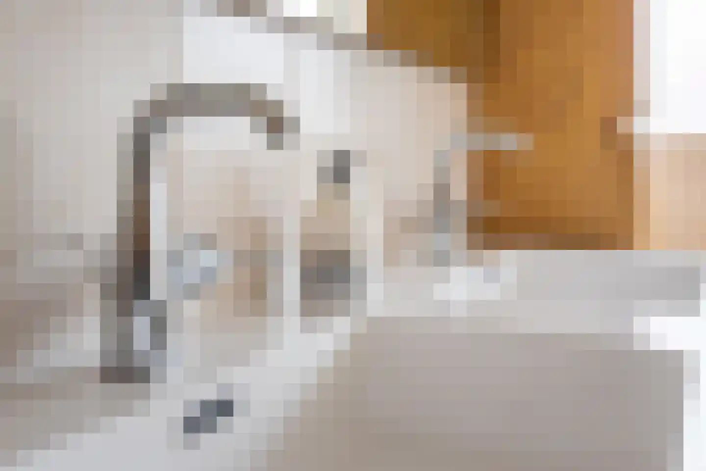Tulpstraat 9 Gendringen thumbnail 41