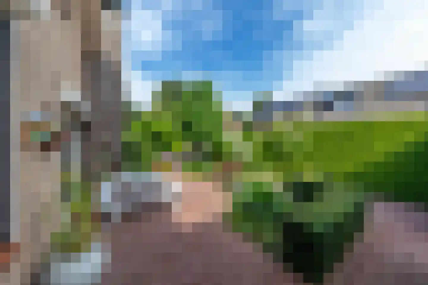Tulpstraat 9 Gendringen thumbnail 49
