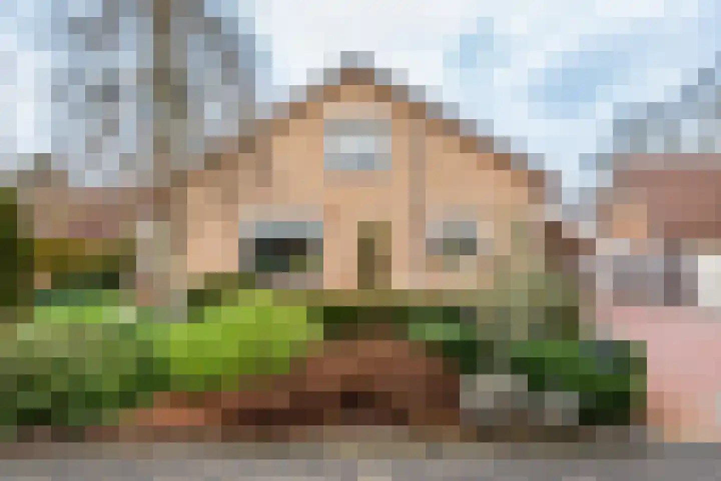 Tulpstraat 9 Gendringen thumbnail 5
