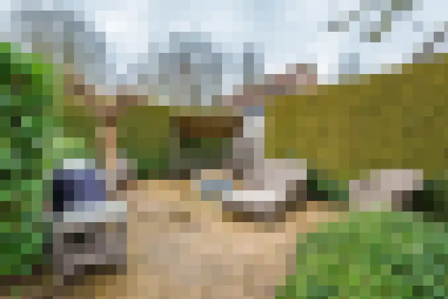 Tulpstraat 9 Gendringen thumbnail 52