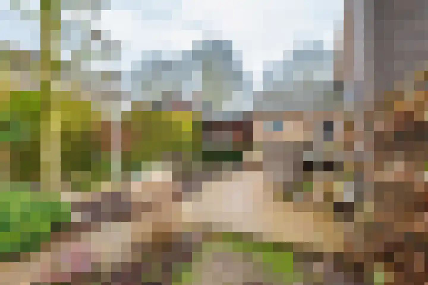 Tulpstraat 9 Gendringen thumbnail 56