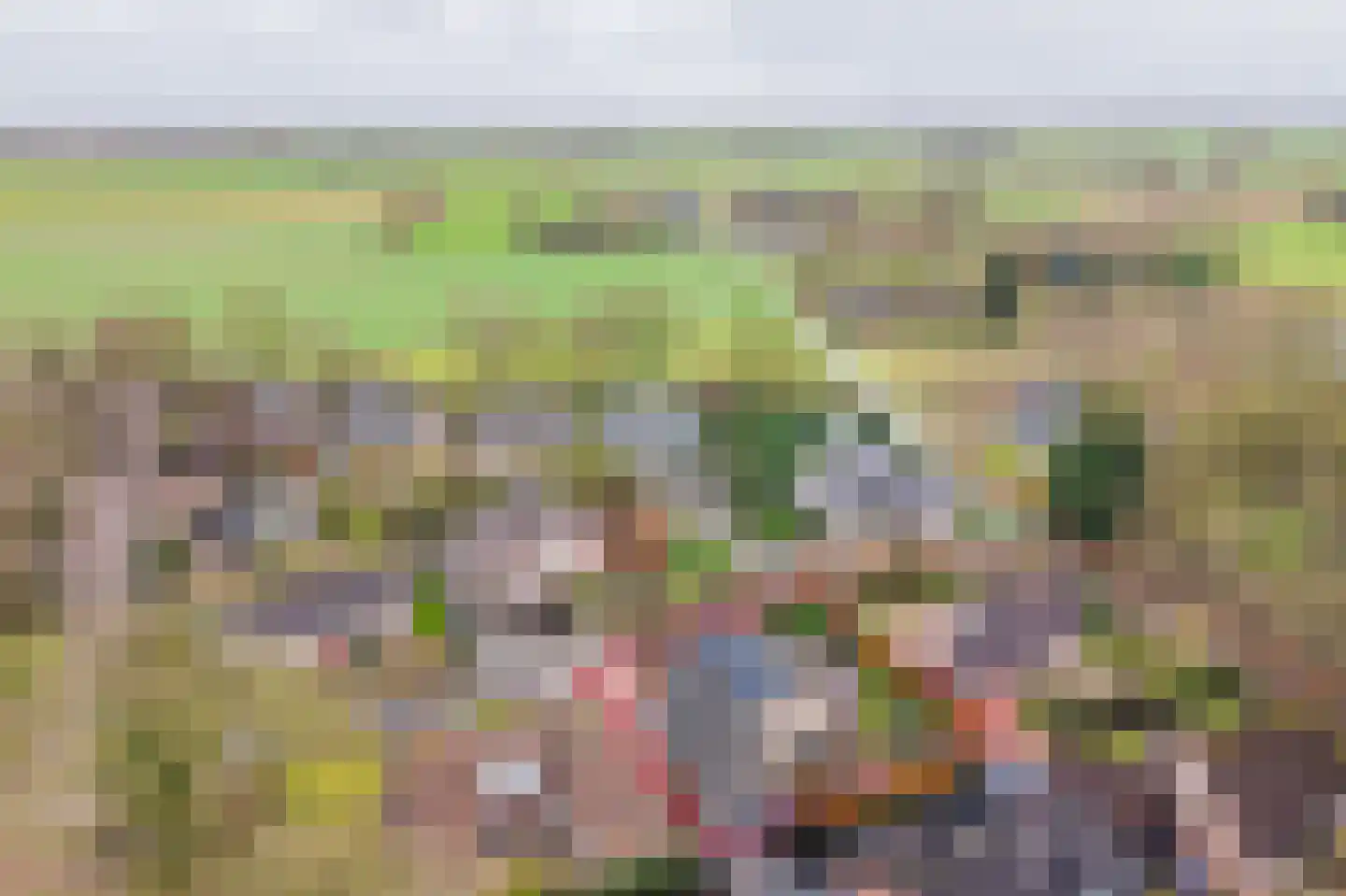 Tulpstraat 9 Gendringen thumbnail 64