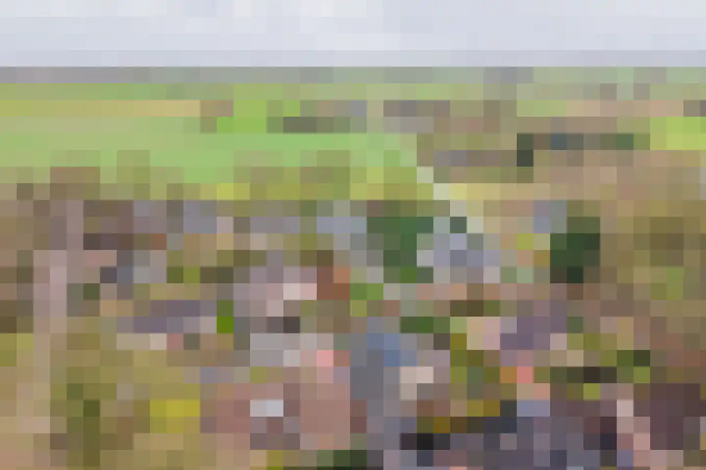 Tulpstraat 9 Gendringen thumbnail 65