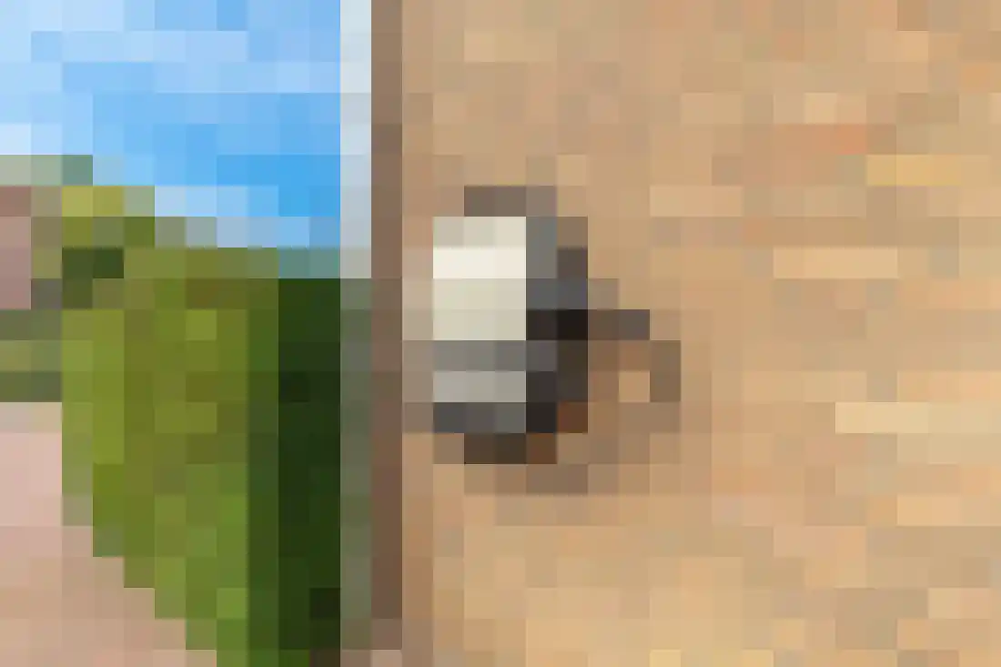 Tulpstraat 9 Gendringen thumbnail 8