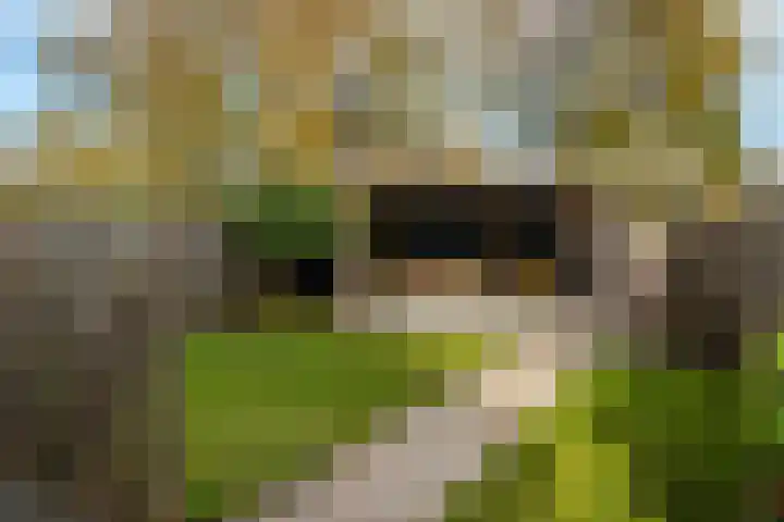 Túnikkers 28 Workum thumbnail 19