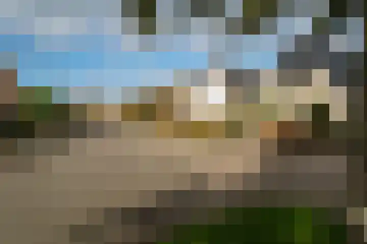 Túnikkers 28 Workum foto 2