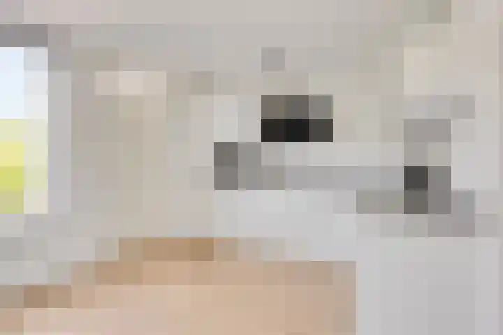 Túnikkers 28 Workum thumbnail 22