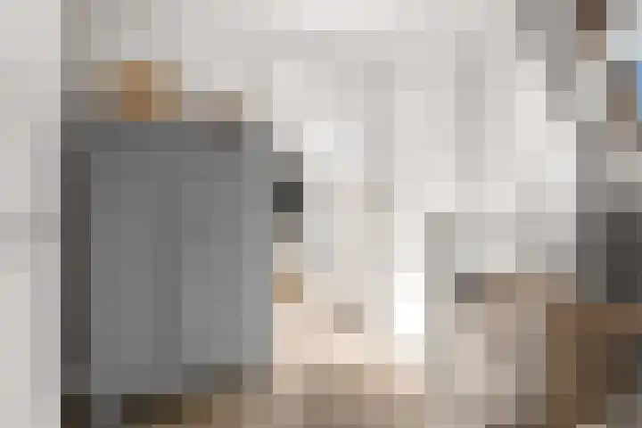 Túnikkers 28 Workum thumbnail 27