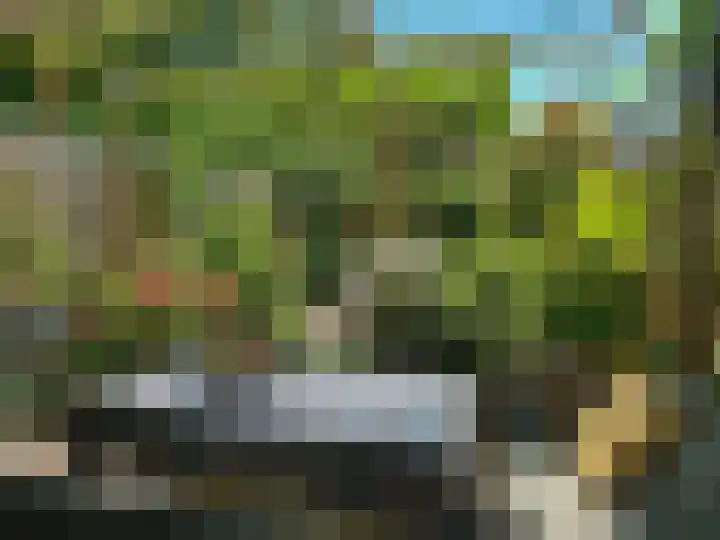 Túnikkers 28 Workum thumbnail 40