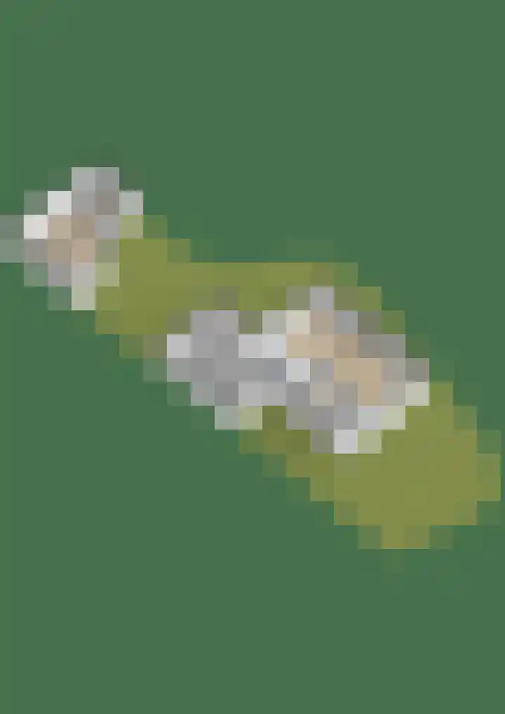 Túnikkers 28 Workum thumbnail 47