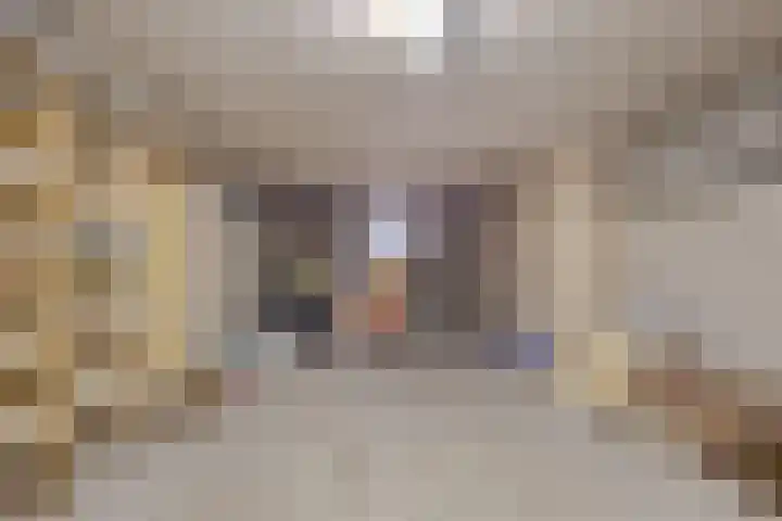 Tunnelweg 2 Wijchen thumbnail 18