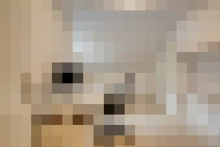 Tunnelweg 2 Wijchen thumbnail 27