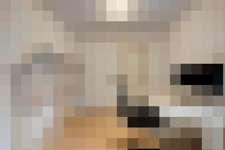 Tunnelweg 2 Wijchen thumbnail 28