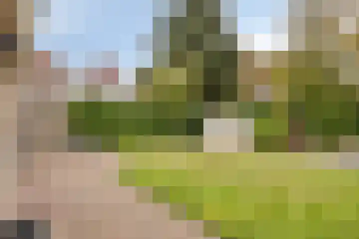 Tunnelweg 2 Wijchen thumbnail 42