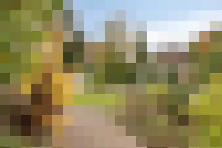 Tunnelweg 2 Wijchen thumbnail 45