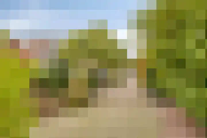 Tunnelweg 2 Wijchen thumbnail 46