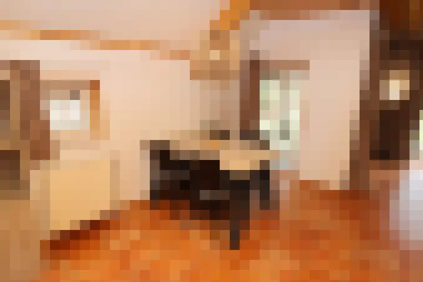 Tunnelweg 7 178 Haarle thumbnail 10