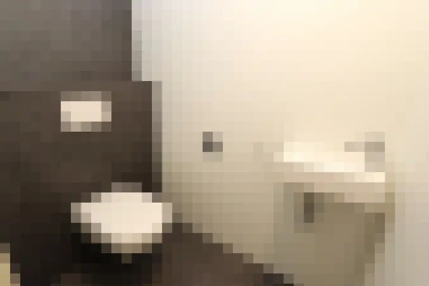 Tunnelweg 7 178 Haarle thumbnail 13