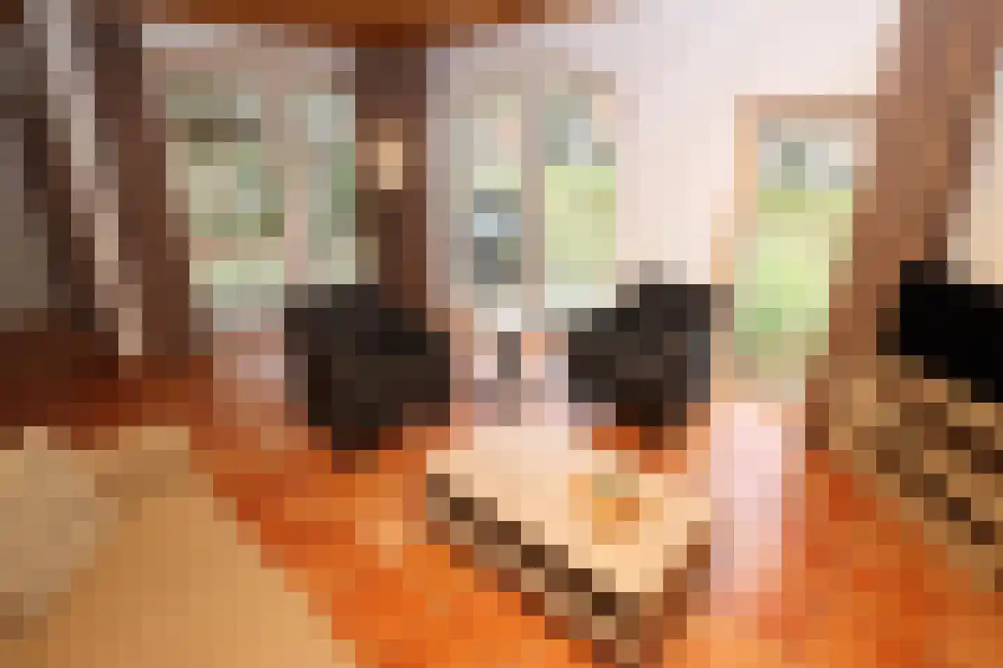 Tunnelweg 7 178 Haarle thumbnail 6