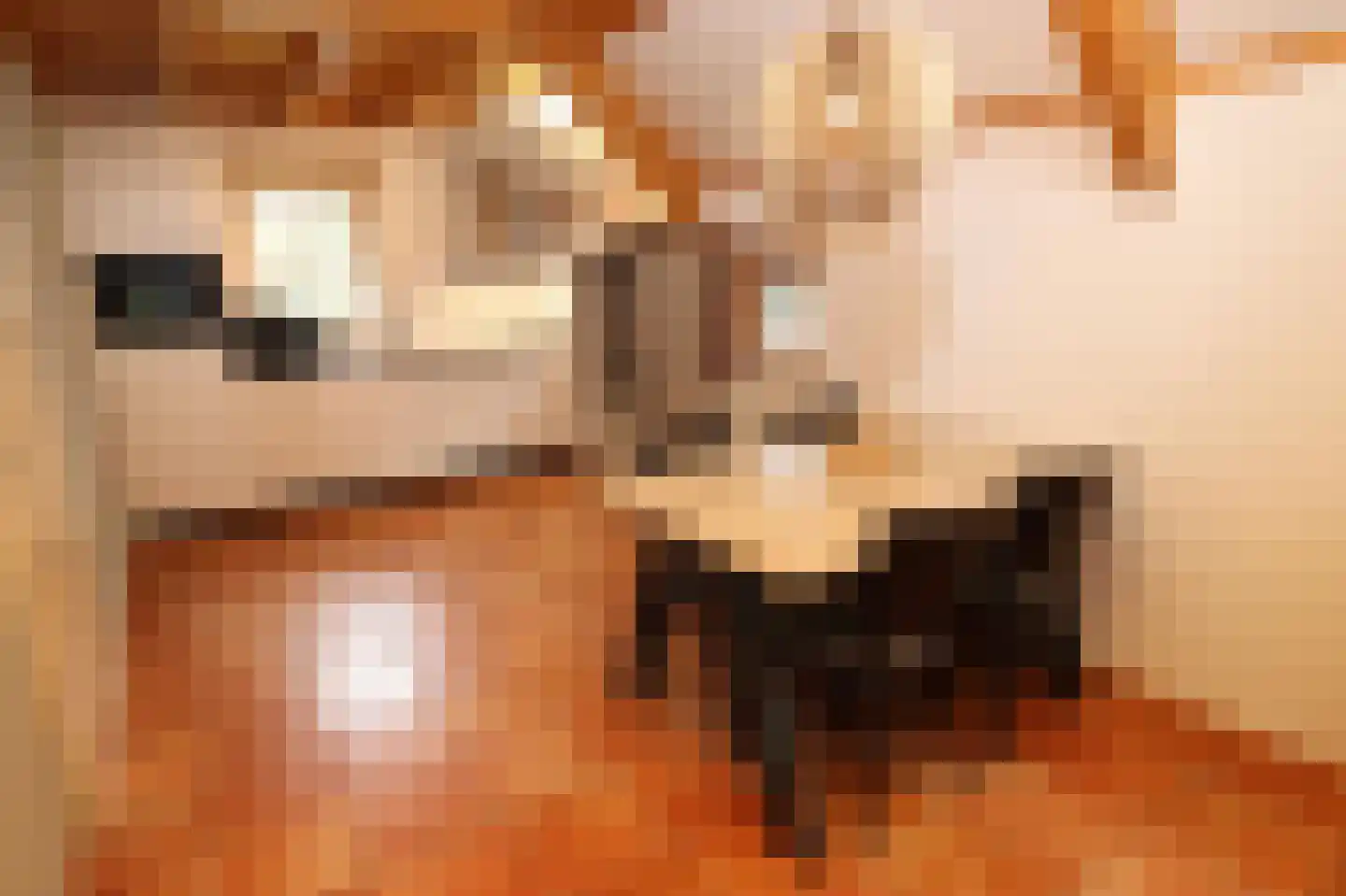 Tunnelweg 7 178 Haarle thumbnail 9